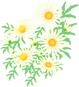 �Y��,�_�C�G�b�g,���Ȃ�,������